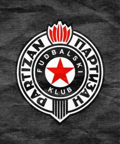 FK Partizan Football Club Paint By Numbers