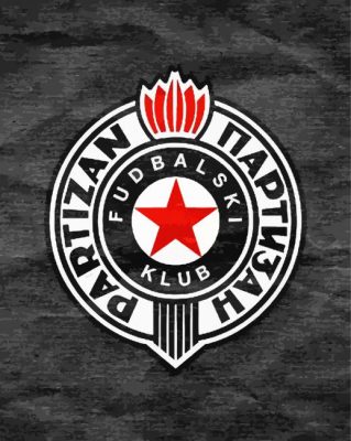 FK Partizan Football Club Paint By Numbers