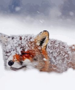 Fox In The Snow Paint By Number