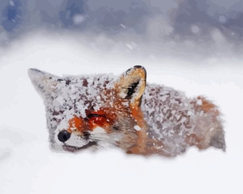 Fox In The Snow Paint By Number