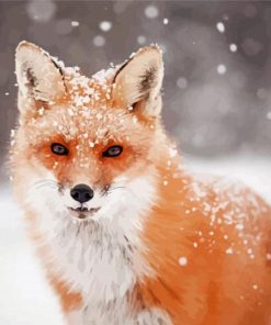 Fox Snow Paint By Number