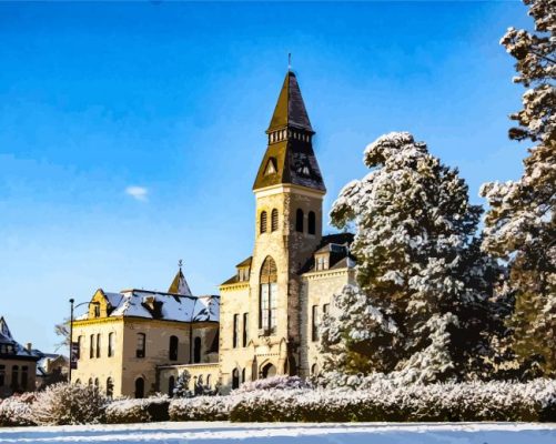 Kansas State University Paint By Number