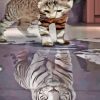 Kitten In Reflection Paint By Number