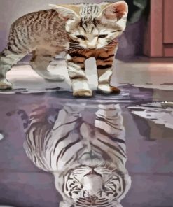 Kitten In Reflection Paint By Number