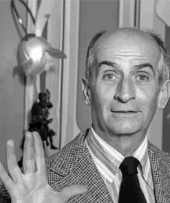 Louis De Funes Paint By Number