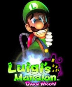 Luigis Mansion Paint By Number