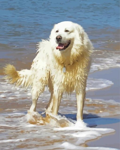 Maremma Sheepdog In Beach Paint By Number