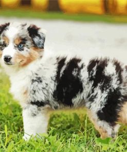 Mini Aussie Paint By Numbers