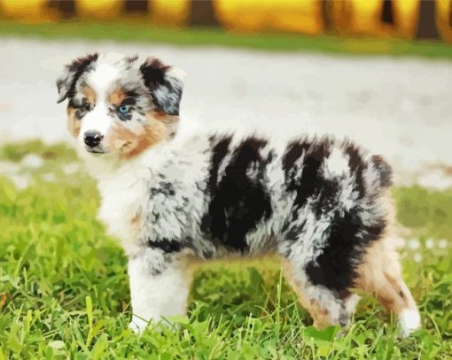 Mini Aussie Paint By Numbers