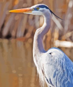 Herring Bird Paint By Number