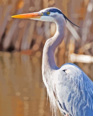 Herring Bird Paint By Number