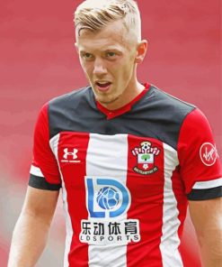 James Ward Prowse Paint By Numbers