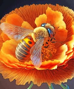 Bee On Flower Paint By Numbers