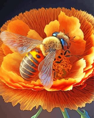 Bee On Flower Paint By Numbers