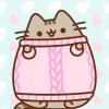 Pusheen Cat Paint By Number