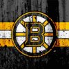 Boston Bruins Logo Paint By Numbers