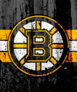 Boston Bruins Logo Paint By Numbers