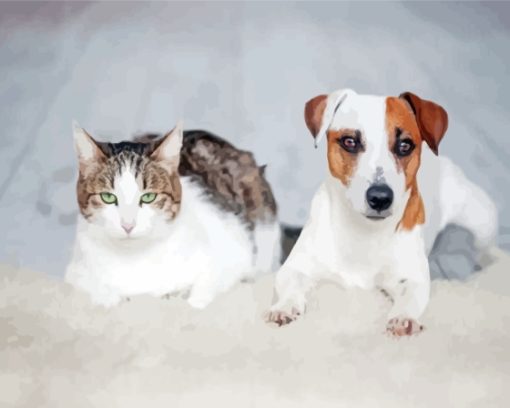 Cat And Jack Russell Paint By Number