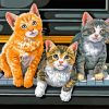 Cats On Piano Paint By Number