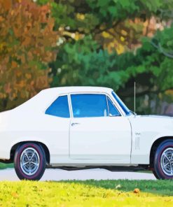 Classic White Chevrolet Nova Paint By Number