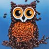 Coffee Bean Owl Paint By Number