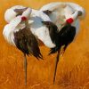 Japanese Red Crowned Crane Paint By Number