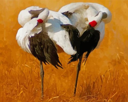 Japanese Red Crowned Crane Paint By Number