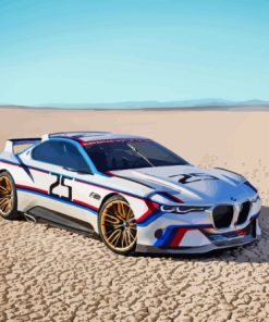 BMW Race Car Paint By Number