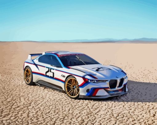 BMW Race Car Paint By Number