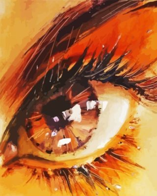 Brown Eye Paint By Number