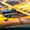 Cessna 182 Paint By Numbers