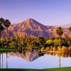 Coachella Valley Paint By Number