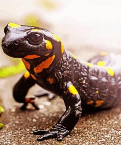 Fire Salamander Paint By Number