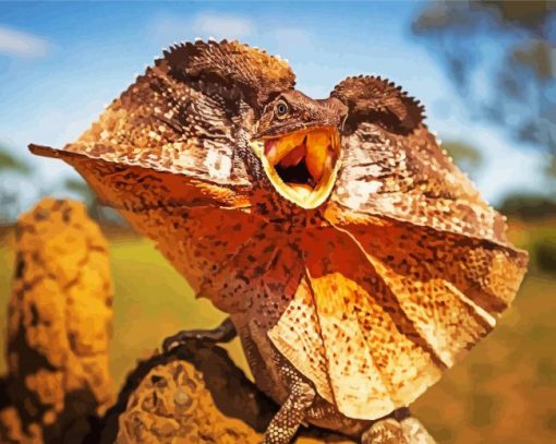 Frilled Lizard Paint By Numbers