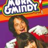 Mork And Mindy Poster Paint By Number