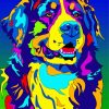 Pop Art Bernese Mountain Paint By Numbers