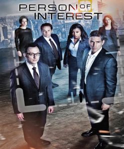 Person Of Interest Poster Paint By Number