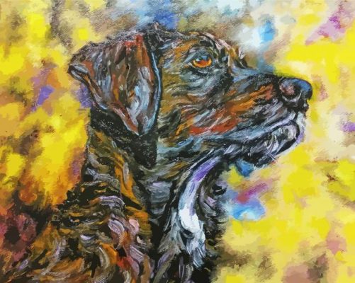 Plott Hound Art Paint By Number