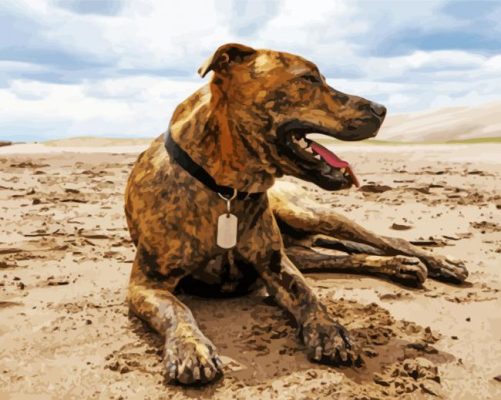 Plott Hound Paint By Numbers