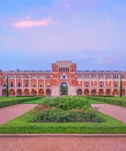 Rice University Paint By Number