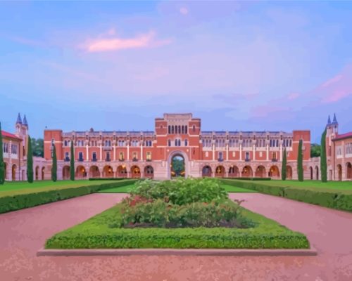 Rice University Paint By Number