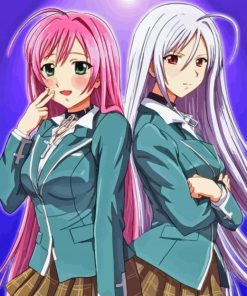 Rosario Vampire Paint By Numbers