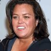 Rosie Odonnell Paint By Numbers