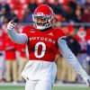 Rutgers American Football Paint By Numbers