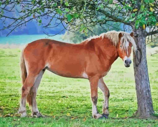 The Haflinger Horse Paint By Number