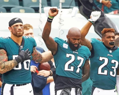 The Philadelphia Eagles Paint By Numbers