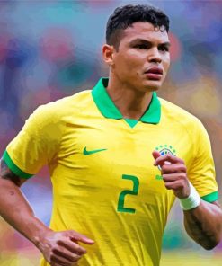 Thiago Silva Paint By Number