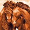 Two Horses In Love Paint By Number