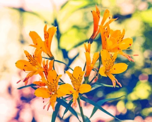 Yellow Alstroemeria Flowers Paint By Number