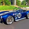 Blue Cobra Car Paint By Numbers